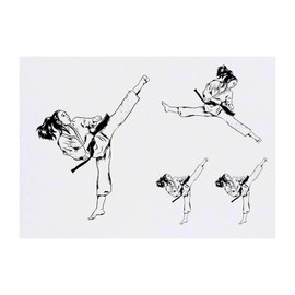 4 x 'Karate Girl' Temporary Tattoos - Water Resistant, Skin-Safe, Non-Toxic Transfers, Mixed Sizes (TO00070082)