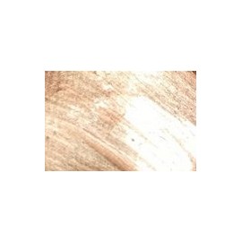 Makeup Revolution Liquid Highlighter ~ Bronze Gold