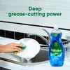 Palmolive Ultra Dishwashing Liquid Dish Soap, Oxy Power Degreaser -