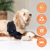 Suitical Recovery Sleeve for Dogs | Front Leg Protection After