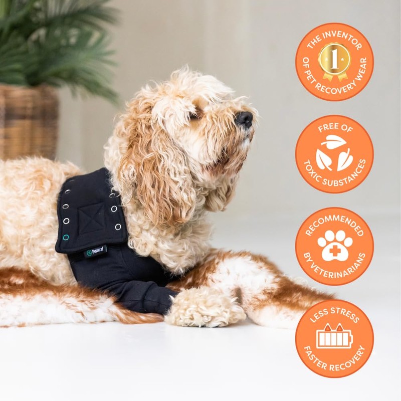 Suitical Recovery Sleeve for Dogs | Front Leg Protection After