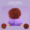 The Mane Choice | Tropical Moringa | Sweet Oil and