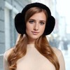 Dwenarry 1/2 Pieces Ear Warmers Women's Winter Plush Earmuffs Fluffy