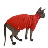 Sphynx Cats Shirt Cat Turtleneck Cotton Sweater Pullover Kitten T-Shirts