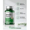 Mastic Gum 1500mg Antioxidante Salud Digestiva 100 Americano