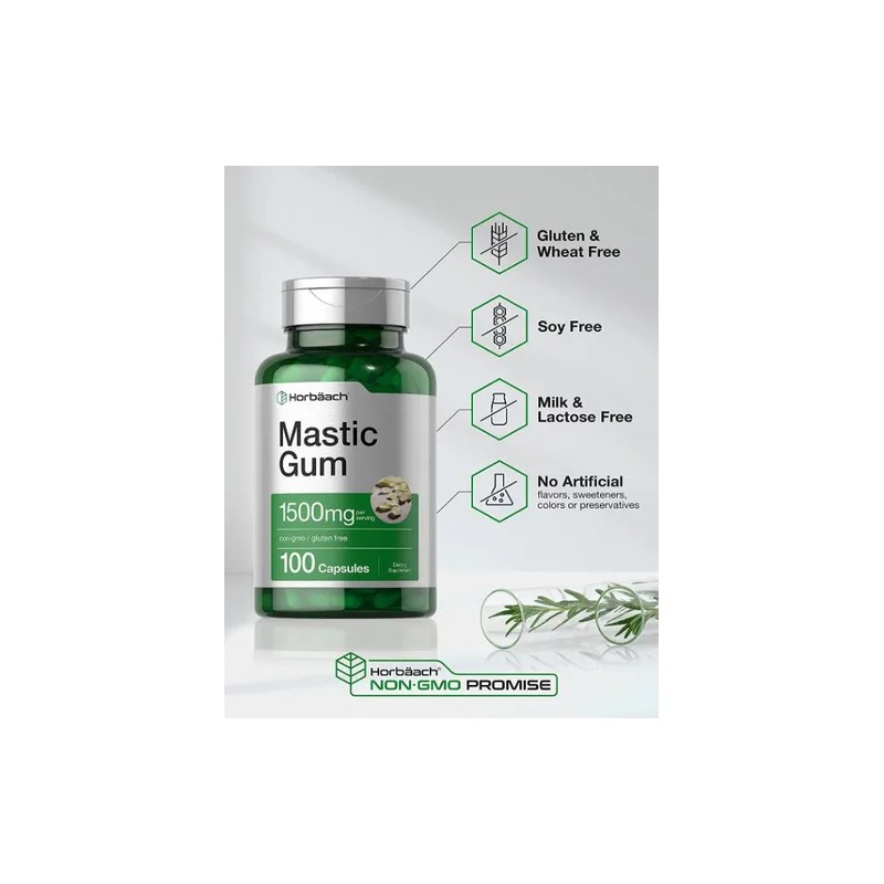 Mastic Gum 1500mg Antioxidante Salud Digestiva 100 Americano