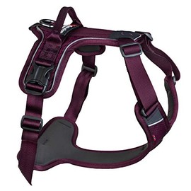 Non-stop dogwear Ramble Harness, Purple, Lead and Everyday Harness, Size: XS