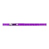 Alumicolor Aluminum Architect Pocket Scale With Clip, 6IN, Purple