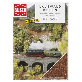 Deciduous Forest Ground