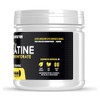 Nuke Nutrition Creatine Monohydrate Powder 300g - Micronised