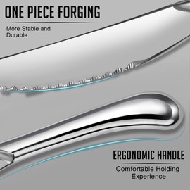 Nice Kitchen Steak Knives Set of 10, Sharp Serrated Steak Knives with Solid Handle, Premium High Carbon Stainless Steel Steak Knife Set