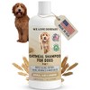 We Love Doodles- Champú de Avena Premium 5 en 1