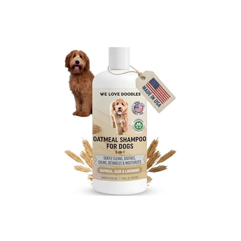 We Love Doodles- Champú de Avena Premium 5 en 1