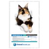 Winston & Bear 3D Cat Stickers - 2 Pack -