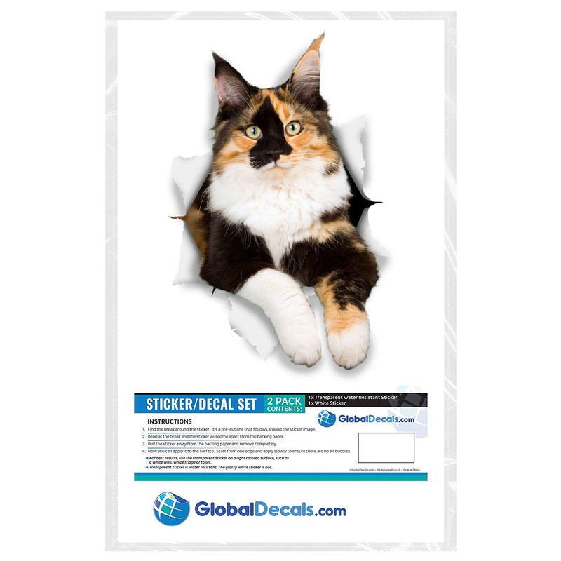 Winston & Bear 3D Cat Stickers - 2 Pack -
