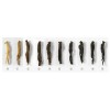 GeumHeuk Korean Black Honey Ginseng Root Sliced 20g X 10