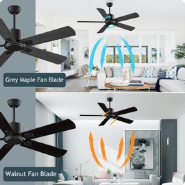 Ceiling Fans with Lights: 52 Inch Ceiling fans with Remote Reversible DC Motor 6 Speed 5 Blades Fan for Outdoor Patio