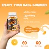 NAD+ Resveratrol Gummies 1310mg, High Absorption Formula with TMG, Hydrolysed