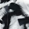 Touch of Nature Turkey Flat Feathers 14GM 4-6" Black/White 1pkg