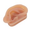 Silicone Ear Model Simulated Ear Model Acupuncture Practice Tool with
