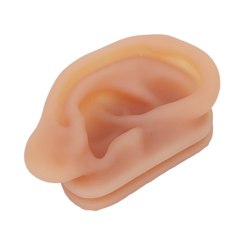 Silicone Ear Model Simulated Ear Model Acupuncture Practice Tool with