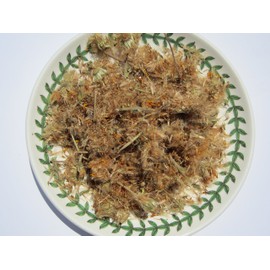 Arnica Flower - Heterotheca inuloides dried loose flower from 100% Nature (1 oz)