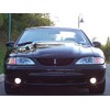 1994-2004 Mustang Cobra SVT Snake Chrome and Black Grill Grille
