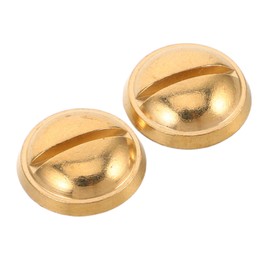 BESPORTBLE 2pcs Saxophone Thumb Rest Screws for Alto and Other Sax Models Durable Repair Parts with Easy Installation Wear Resistant Replacement Accessories for Musical Instrument Maintenance