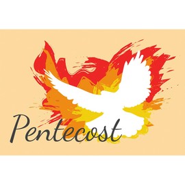 Baocicco 7x5ft Pentecost Backdrop Resurrection of Jesus Pure White Holy Spirit on Jesus Photography Background Wallpaper Decoration for Church Religion Fiesta Holy Day Christian Photoshoot Props