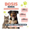 Premios Waggys Salmon Bites Para Perro Y Gato 100 G
