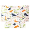 WINLIFE Kids Full Sheet Set Dinosaur Printed 4 Piece Cartoon