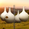 Wild Bird Lover's Two-Piece Martin Gourds, Pack of 4