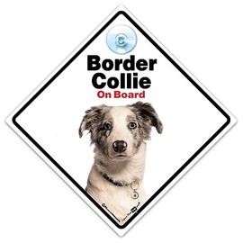 Border Collie Car Sign, Dog Car Sign, Dog On Board Sign, Collie Car Sign, Border Collie Dog Sign, Fur Baby Sign, High Visibility sign With Suction Cup to Notify of Dog in Vehicle 14 cm x 14cm x 2cm
