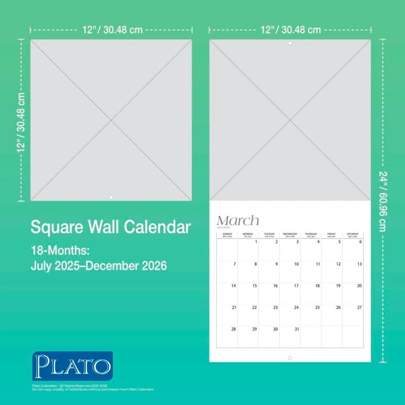 Plato Taylor Swift | 2026 12x24" 18 Months Square Wall