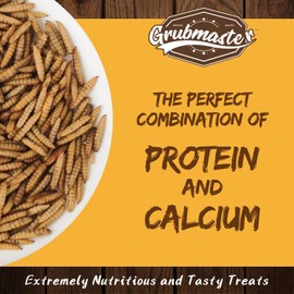 GRUBMASTER Dried Black Soldier Fly Larvae for Chickens, Natural Healthy Chicken Treats for Backyard Poultry - 5 lb. Bag