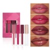 Set de Labiales Líquidos 4 Piezas con Acabado Brillante, Perlado,