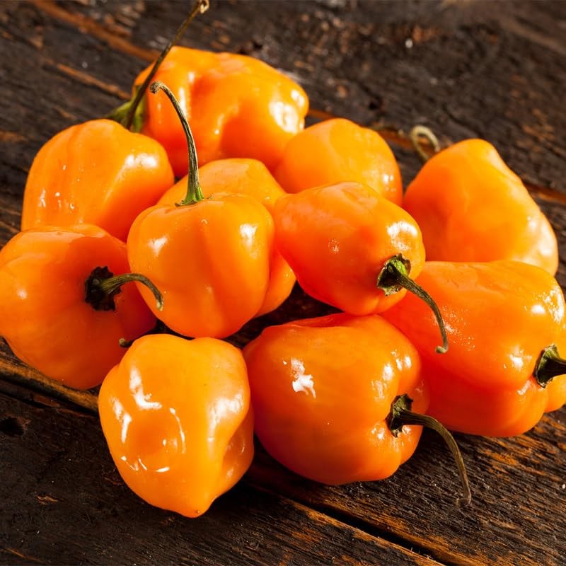 Pepper-Orange Habañero 200 Seeds