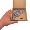 SKIR'CO (Pack of 50) Self Drilling Screws 3.9 x 22