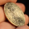 Harvest Moon Brass Coin - 1"