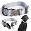 Country Living by Silver Paw Light Up Dog Collars, LED