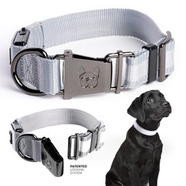 Country Living by Silver Paw Light Up Dog Collars, LED USB Rechargeable Dog Collar, Waterproof & Durable (Grey, L)