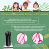 MAXLAPTER Microscope Kit for Kids 8-12 with Prepared Slides, 100-1000X