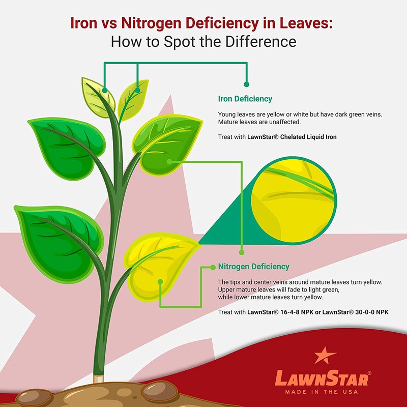 LawnStar Liquid Iron (1 Gallon) for Plants - Multi-Purpose, Suitable