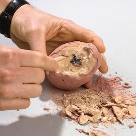 moses 40127 – Dino Egg