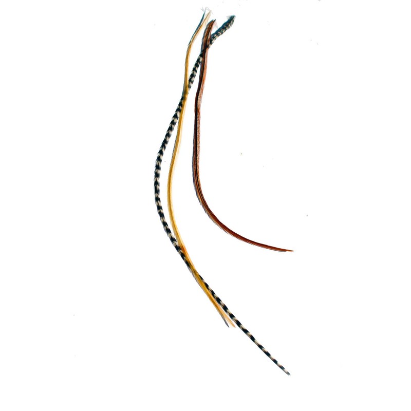 Real Feather Hair Extensions - Mixed Naturals (3 Feathers)
