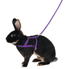 Kerbl Shoulder Harness Agility with Leash, Large, 2 m