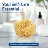 Hartfelt Caja Belleza Esponja Marina Lana Piel Delicada Esponjas Baño