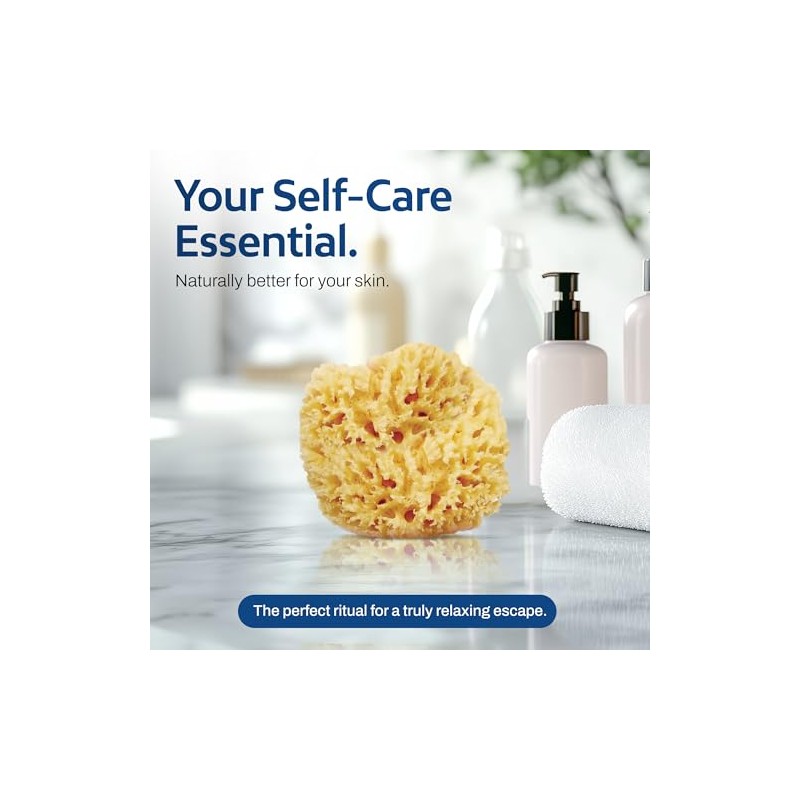 Hartfelt Caja Belleza Esponja Marina Lana Piel Delicada Esponjas Baño