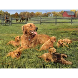 Buffalo Games - Hautman Brothers - Glorious Goldens - 750 Piece Jigsaw Puzzle for Adults Challenging Puzzle Perfect for Game Nights - Finished Puzzle Size is 24.00 x 18.00