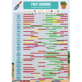 Gardening Fruit Growing Planner Poster - A3 Size & Laminated - Calendar Planner Gantt Chart for Crops, Fruit, Veg, Allotment
